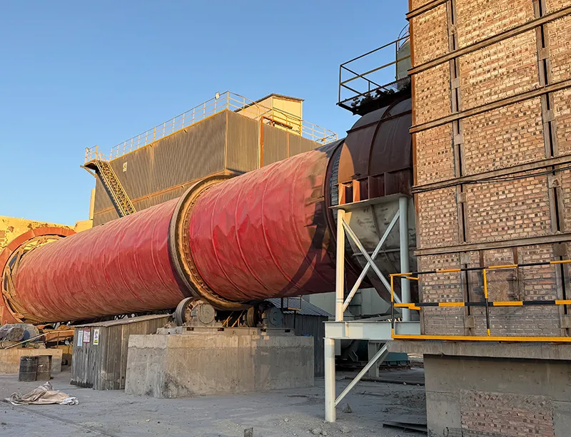 Raw material second drying Raw material second drying