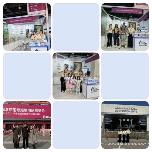 We participate in exhibitions all over the country We participate in exhibitions all over the country