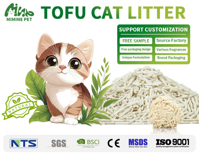 Industry Leading Cat Litter Manufacturer Industry Leading Cat Litter Manufacturer