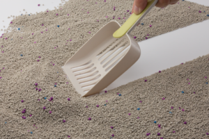 Hand using a scoop to clean bentonite cat litter with purple and blue granules, highlighting easy clumping and cleaning.