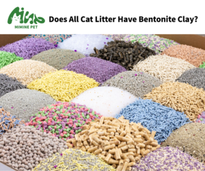 A variety of cat litter types, including bentonite in cat litter, displayed in colorful piles, showcasing different textures and materials.